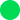 Neonowy zielony