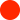 Czerwony