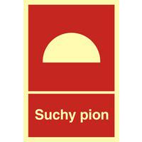 Suchy pion