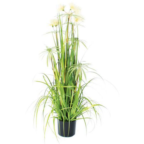 Trawa wiechlinowata 120 cm – Vepabins Trawa wiechlinowata 120 cm – Vepabins