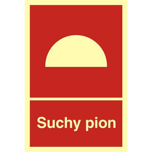 Suchy pion