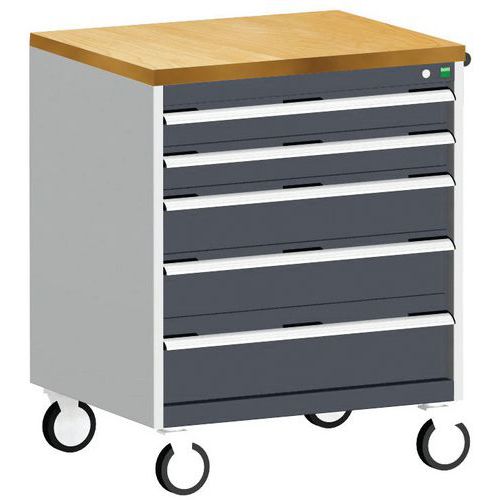 Komoda mobilna Bott Cubio, 99 x 80 x 65 cm, 5 szuflad, multipleks/linoleum/mata