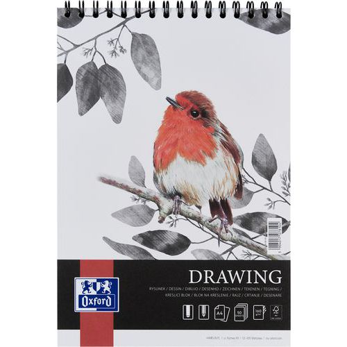 Segregator Oxford Drawing A4, z górną spiralą, przezroczysty