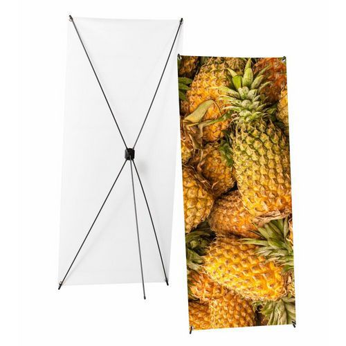 Budżet X-Banner - X-Banner Budżetowy 80x180cm