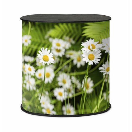 Promostolek Professional Original M - Promostolek Professional Original M Czarny