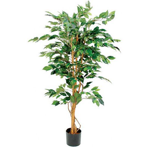 Figowiec Benjamina 150 cm – Vepabins - Sztuczna roślina figowiec benjamina zielona wysokość 150 cm