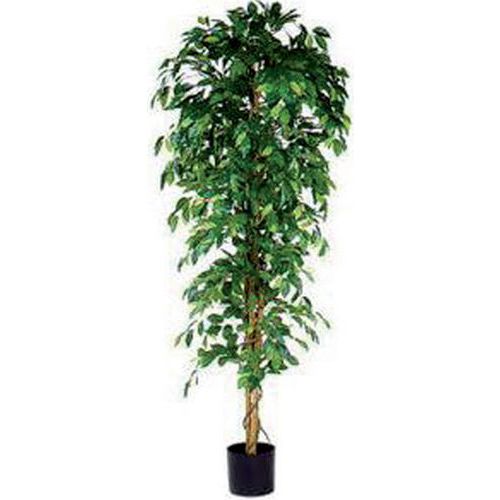 Figowiec Benjamina 210 cm – Vepabins - Sztuczna roślina figowiec benjamina zielona wysokość 210 cm