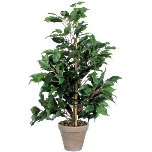 Figowiec Exotica 65 cm – Vepabins - Sztuczna roślina figowiec Exotica zielona wysokość 65 cm