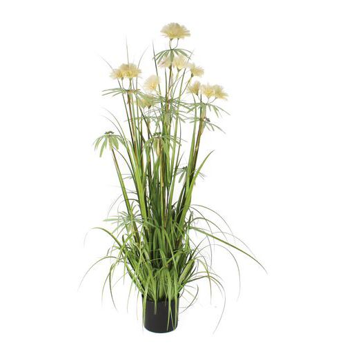 Trawa wiechlinowata 150 cm – Vepabins - Roślina trawa wiechlinowata zielona wysokość 150 cm