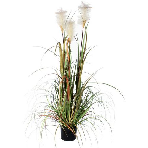 Wyczyniec 120 cm – Vepabins - Roślina wyczyniec zielona wysokość 120 cm 0
