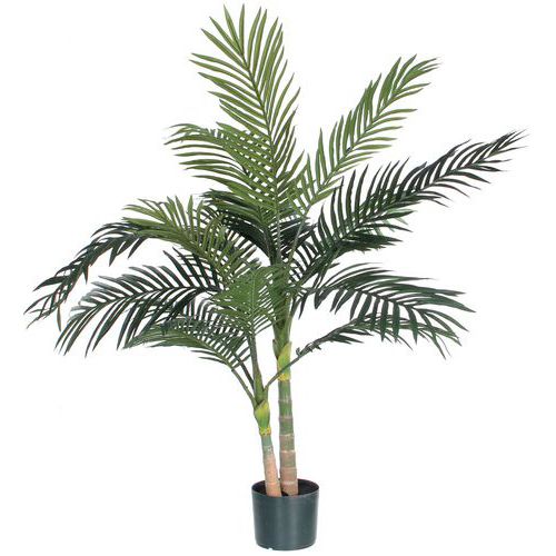 Palma Areka 120 cm – Vepabins - Roślina palma Areka zielona wysokość 120 cm