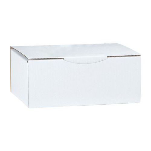 Pudełka kartonowe ekologiczne w kolorze białym - Pudełko kartonowe białe Eco, 250 x 150 x 100 mm