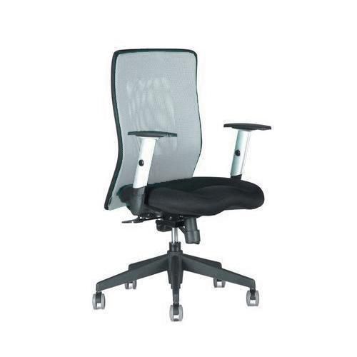 Krzesło biurowe Calypso XL - Krzesło biurowe Calypso XL, szare