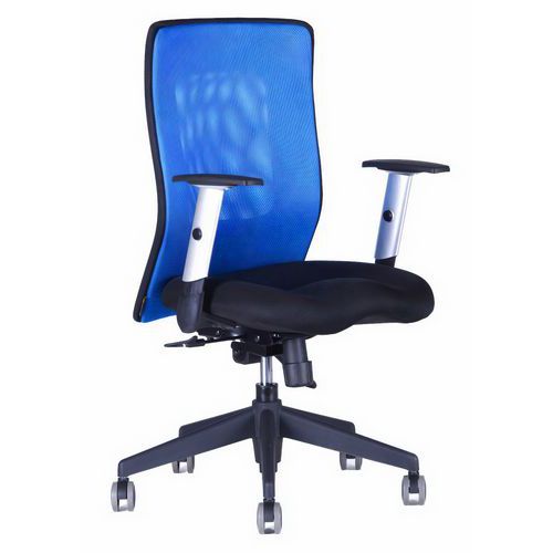 Krzesło biurowe Calypso XL - Krzesło biurowe Calypso XL, niebieskie