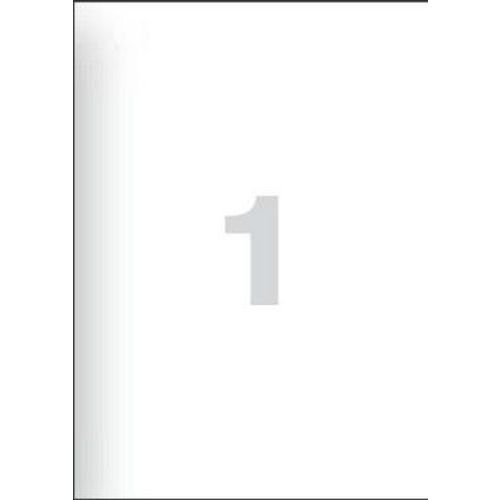 Etykiety samoprzylepne - Etykiety samoprzylepne, 210 x 297 mm, 100 szt.