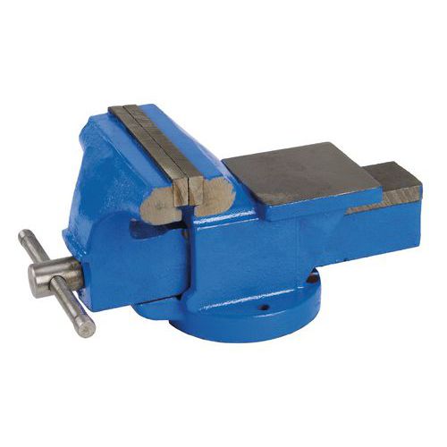 Masywne imadło żeliwne - Imadło warsztatowe, szerokość szczęk 125 mm