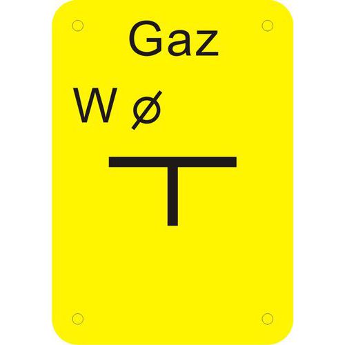 Tablica sączka węchowego Tablica sączka węchowego