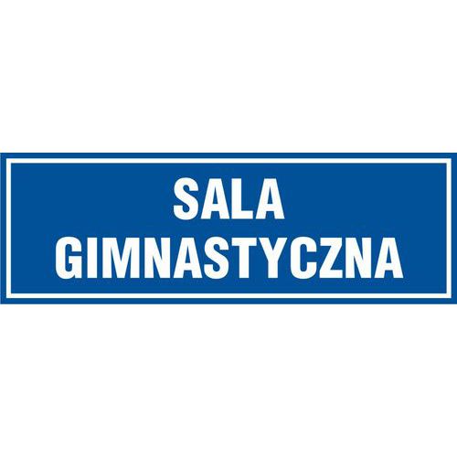 Sala gimnastyczna - Sala gimnastyczna 20 X 60 nieświec. płyta sztywna PCV