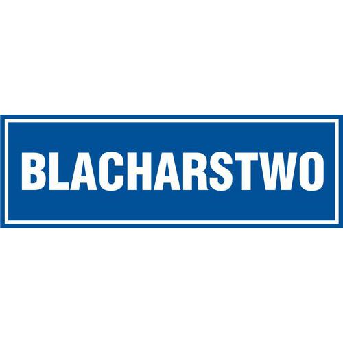 Blacharstwo - Blacharstwo 10 X 30 nieświec. płyta sztywna PCV
