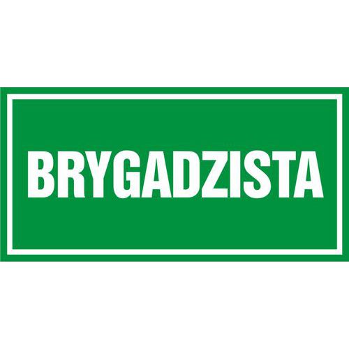 Brygadzista - Brygadzista 20 X 40 nieświec. płyta sztywna PCV