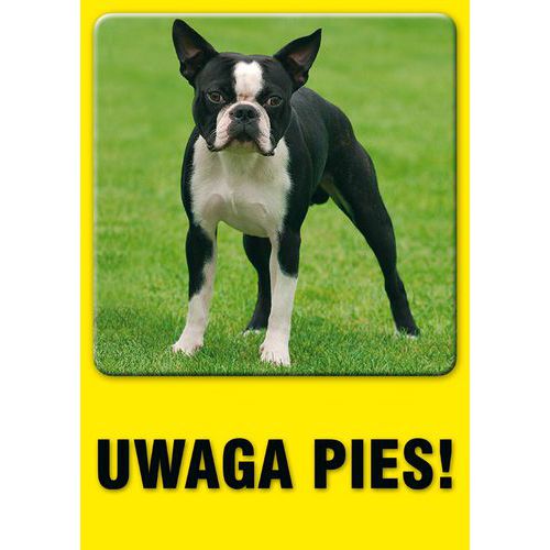 Uwaga pies - Uwaga pies 21 X 29,7 nieświec. płyta sztywna PCV