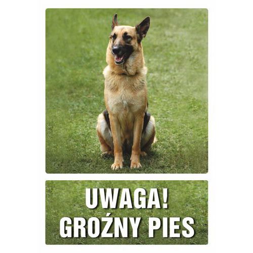 Uwaga Groźny pies 3 - Uwaga Groźny pies 3 14,8 X 21 nieświec. płyta sztywna PCV