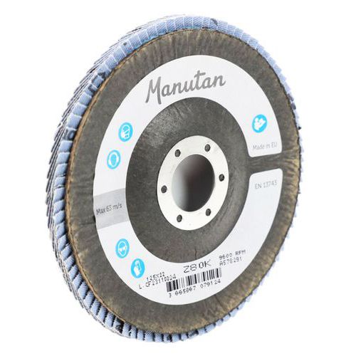 Tarcze ścierne lamelkowe Manutan Expert, 125 mm - Tarcza ścierna lamelkowa Manutan Expert, 125 mm, ziarnistość 80